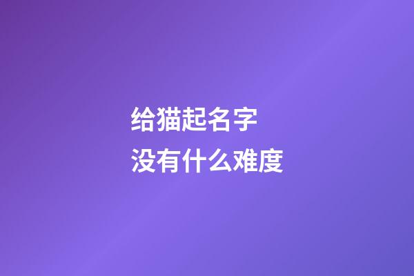 给猫起名字 没有什么难度